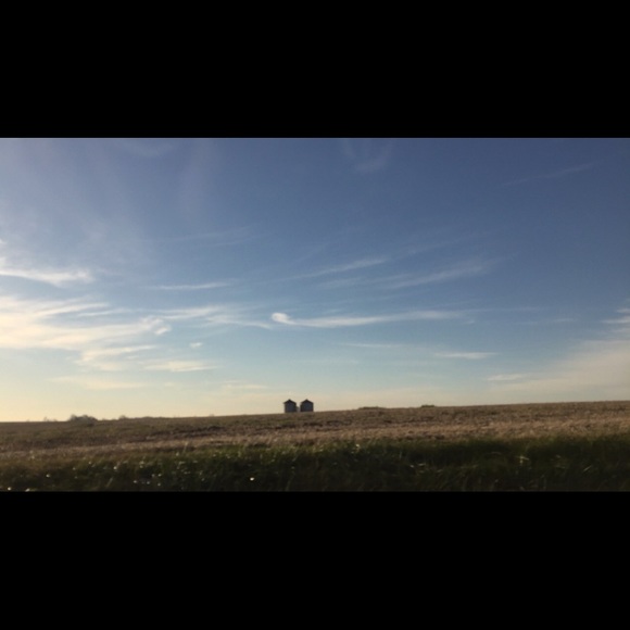 Meet your Posher, Allie - Picture 1 of 1